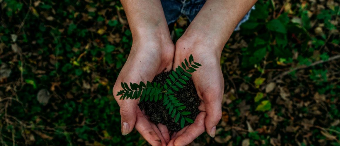 Responsabilité sociétale des entreprises et création de valeur : principes, enjeux, démarche et mise en place. Proposition d&rsquo;un guide à l&rsquo;usage de l&rsquo;expert-comptable.