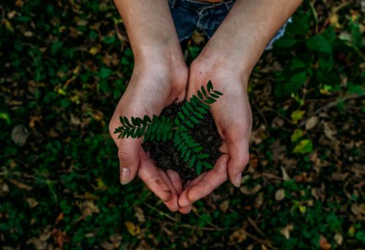 Responsabilité sociétale des entreprises et création de valeur : principes, enjeux, démarche et mise en place. Proposition d&rsquo;un guide à l&rsquo;usage de l&rsquo;expert-comptable.