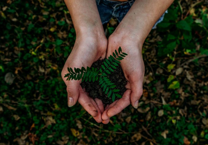 Responsabilité sociétale des entreprises et création de valeur : principes, enjeux, démarche et mise en place. Proposition d&rsquo;un guide à l&rsquo;usage de l&rsquo;expert-comptable.